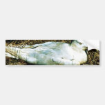 Untitled Bumper Stickers