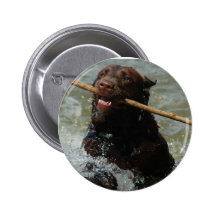Untitled Button