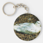 Untitled Keychain