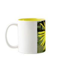 Untitled Mug
