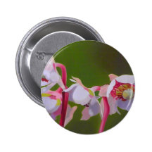 Untitled Pinback Button