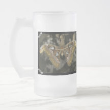 Unusual Moth Frosted Beer Mug