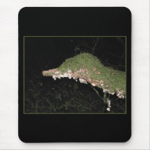 Unusual Vegetation in the Woods. Mousepads