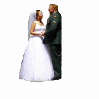 Unusual Wedding Cake Toppers Photo Sculptures by webmonarch