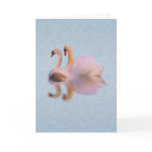 Unvalentine Swan Card -Poem