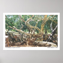 Unwinding In The Grove On Crete Poster
