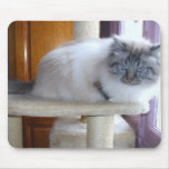U'Onyx Cardiff Baby Blue 002 mousepads