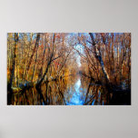 Up A Carolina Creek Poster