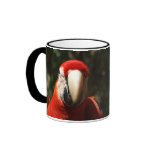 Up Close and Personal Scarlet Macaw mugs