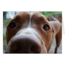Up Close Greeting Cards