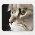 Up-Close Kitty MP mousepads
