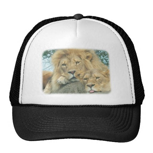 up close lions trucker hats