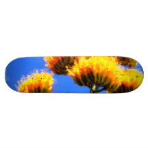Up High skateboard