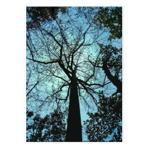 Up the Tree ATC Business Card Template