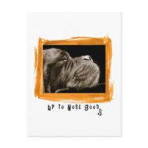 Up to Nose Good Post Cards