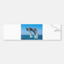 Up Up Up Dolphins bumper stickers