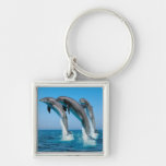 Up Up Up Dolphins Key Chains