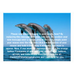 Up Up Up Dolphins Personalised Announcements