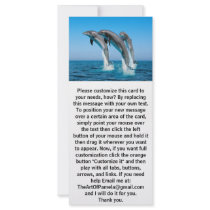 Up Up Up Dolphins