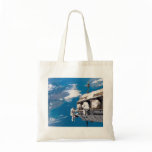 Upgrading the International Space Station bags