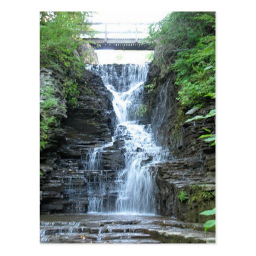 Upper Buttermilk Falls Ithaca, NY Postcards
