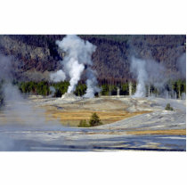 Upper Geyser Basin, Yellowstone National Park, U.S Photo Sculpture