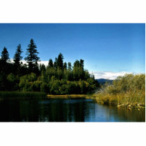 Upper Klamath National Wildlife Refuge Photo Cutout