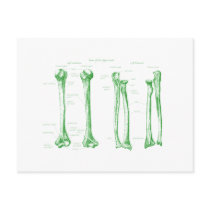 Upper Limb Green Post Card