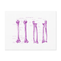 Upper Limb Purple Postcards