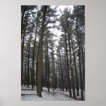 Upper Peninsula Early Winter Poster