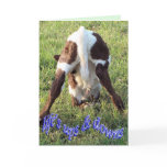 Ups & Downs-customise cards