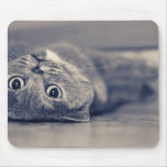 Upside Down Cat mousepads