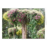 upside down tree cards
