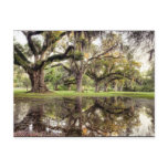 Uptown New Orleans Rain Postcards