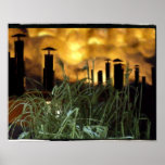 urban grass posters