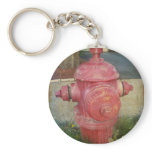 Urban Treated Fire Hydrant Keychain.