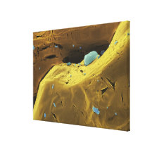Urea powder canvas prints