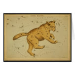 Ursa Major Cards