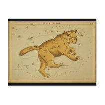 Ursa Major