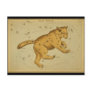 Ursa Major