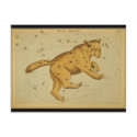 Ursa Major postcards