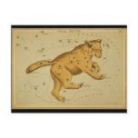 Ursa Major postcards