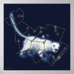 Ursa Minor (poster) posters
