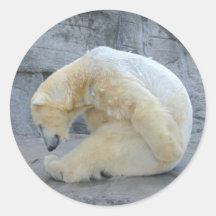 Ursus maritimus stickers