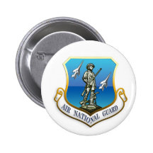 US Air National Guard Pins