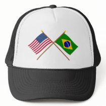 US and Brazil Crossed Flags