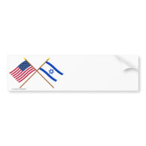 US and Israel Crossed Flags