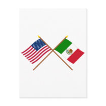 US and Mexico Crossed Flags