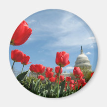 US Capitol Building Spring photo Refrigerator Magnet
