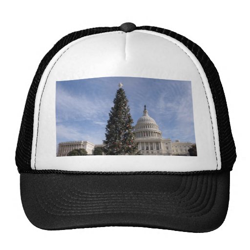 US Capitol Hill christmas tree Hat